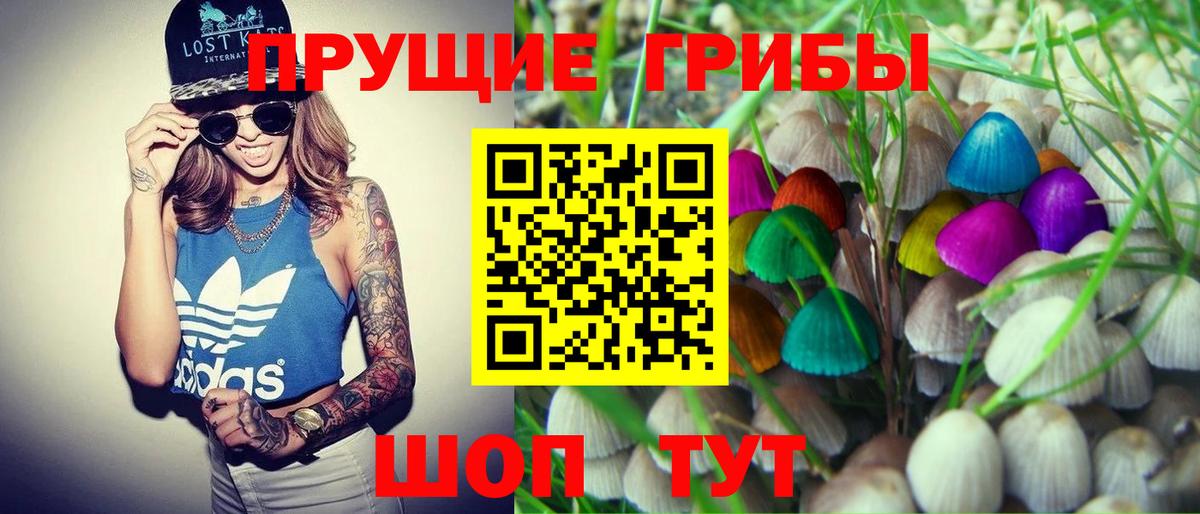 Галлюциногенные грибы Cubensis Ноябрьск