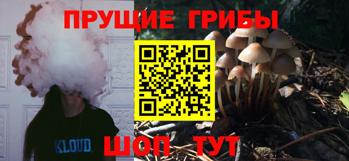 как найти наркотики  Вход с VPN  Ноябрьск  Галлюциногенные грибы MAGIC MUSHROOMS 